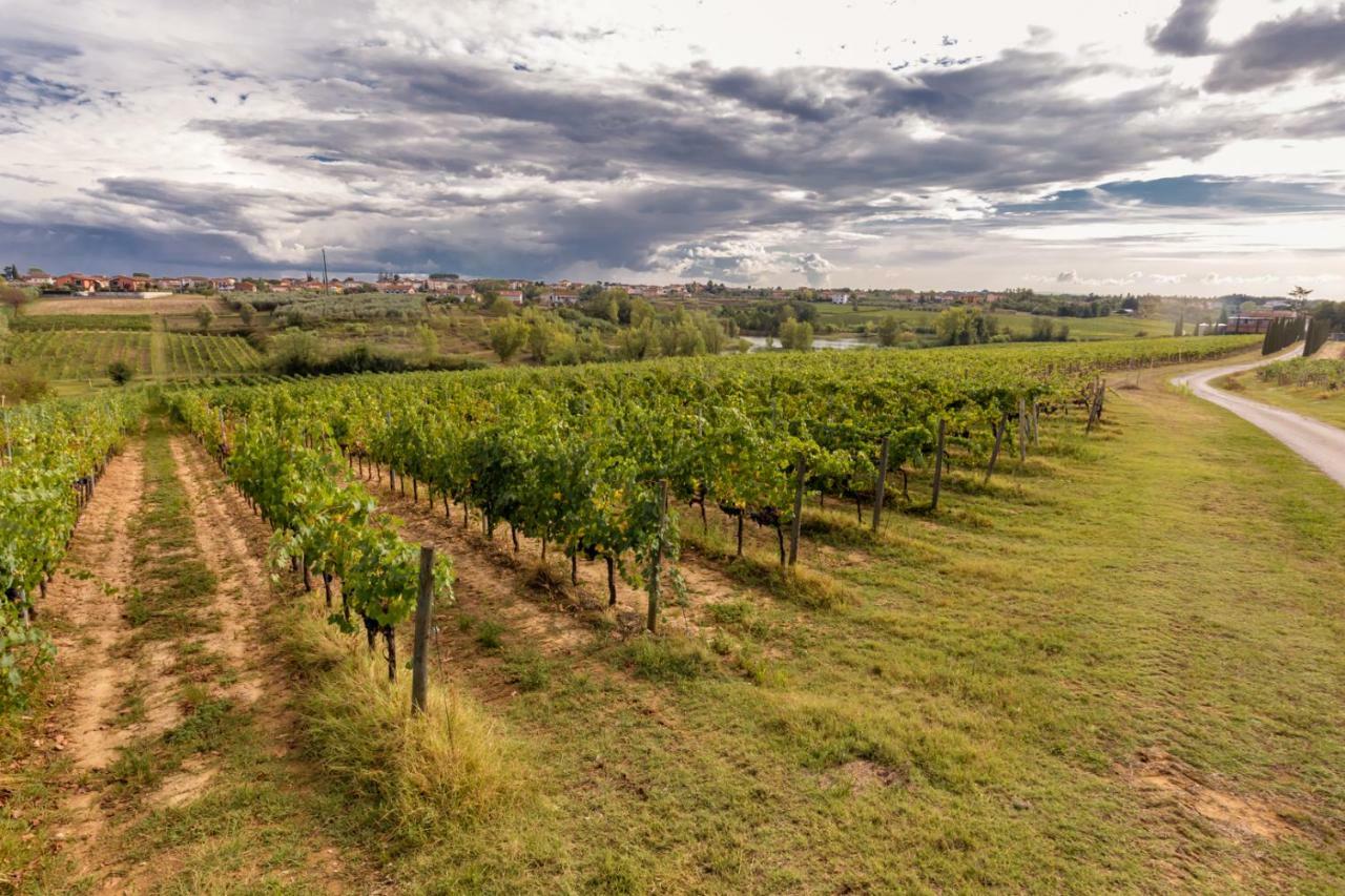 Agriturismo Tenute Poggio Di Bobi Villa ลัมปอเรคคิโอ ภายนอก รูปภาพ
