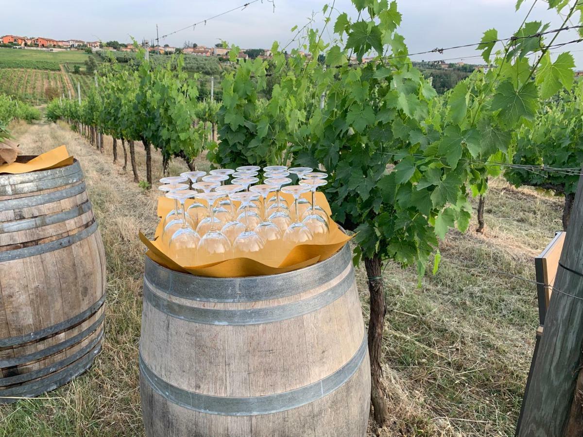 Agriturismo Tenute Poggio Di Bobi Villa ลัมปอเรคคิโอ ภายนอก รูปภาพ