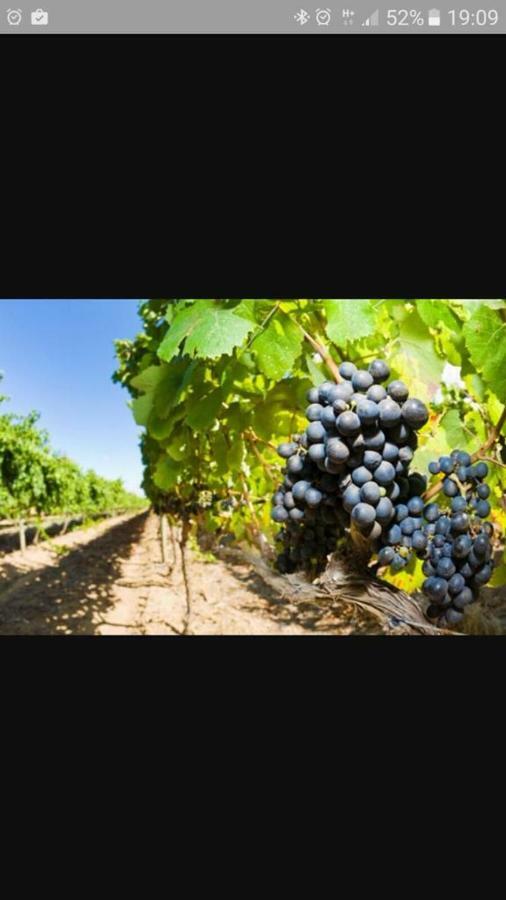 Agriturismo Tenute Poggio Di Bobi Villa ลัมปอเรคคิโอ ภายนอก รูปภาพ